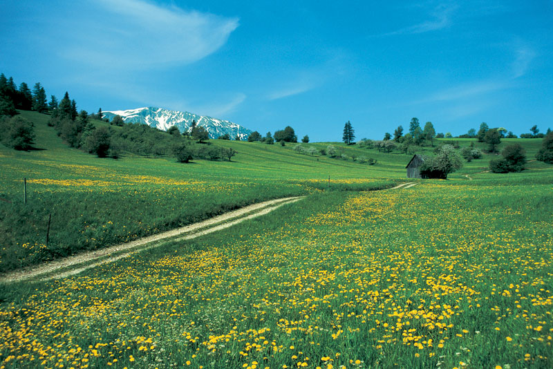 &copy; Nieder&ouml;sterreich-Werbung/Ernst Mayerhofer