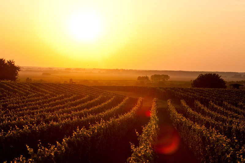 &copy; http://www.urlaubinlutzmannsburg.at